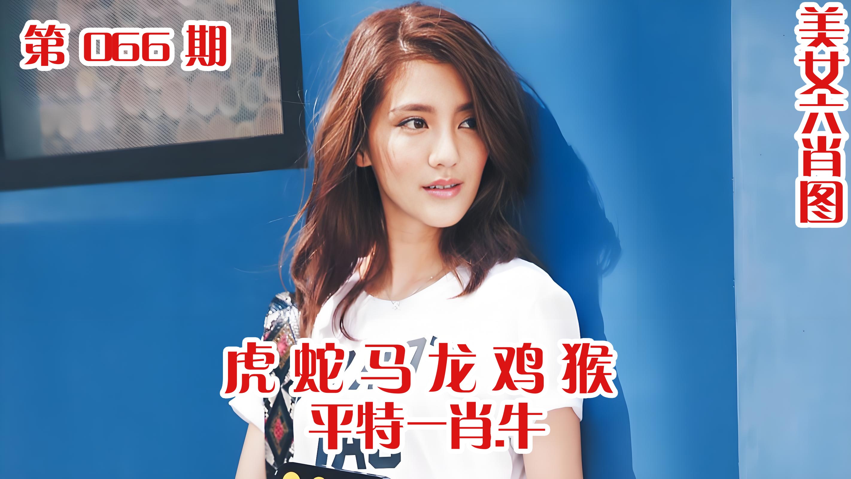 美女六肖 066期