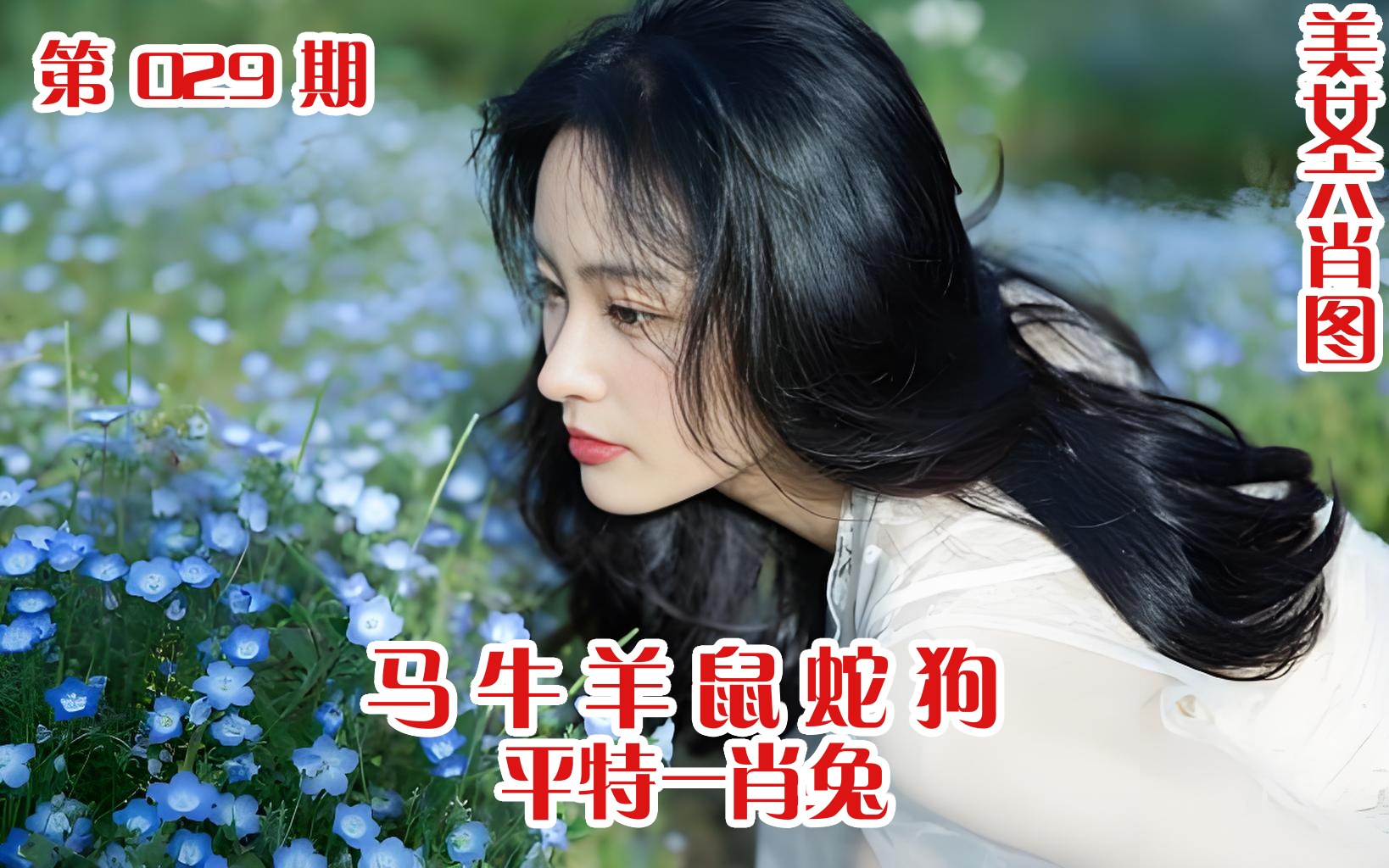 美女六肖 029期