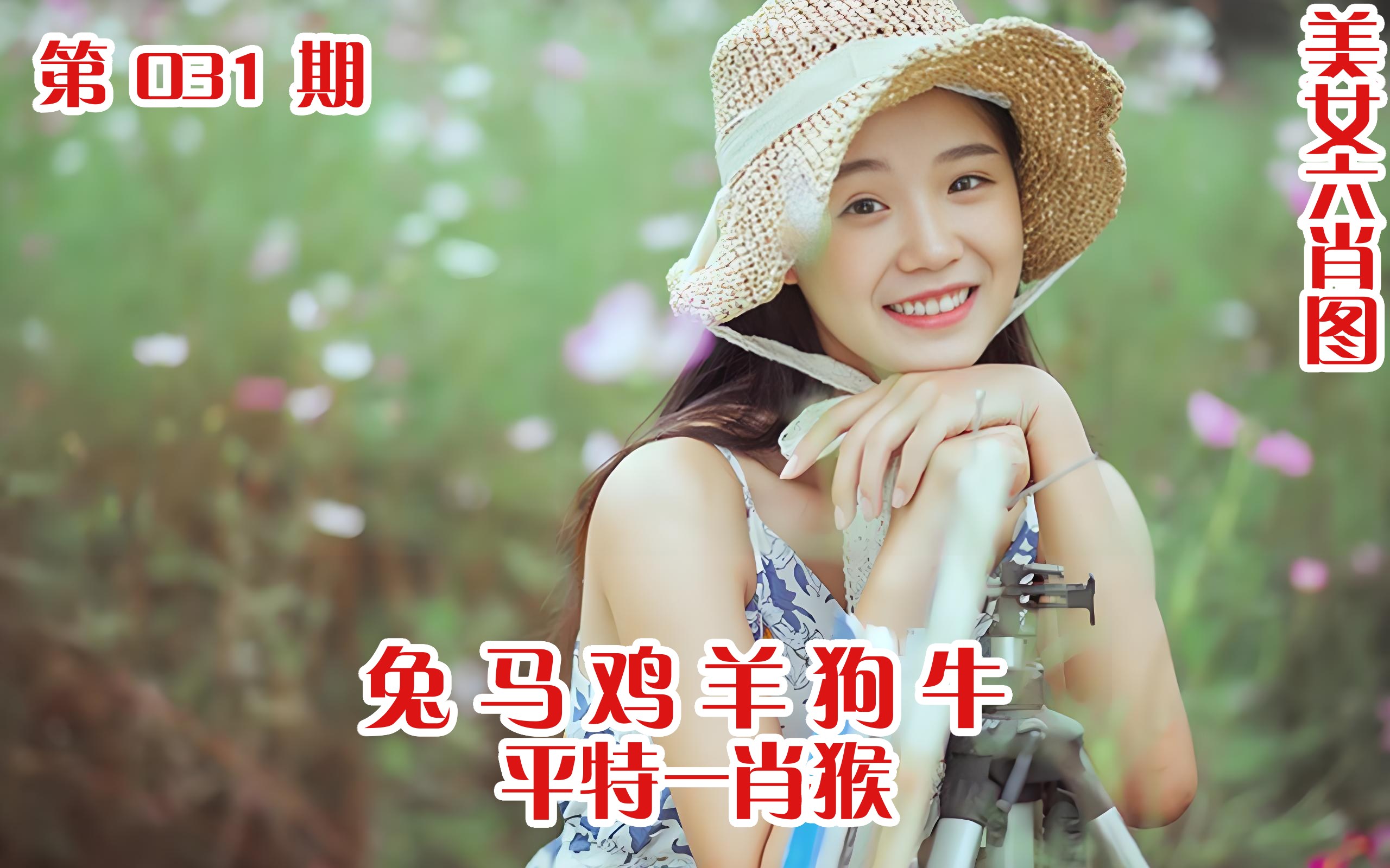 美女六肖 031期