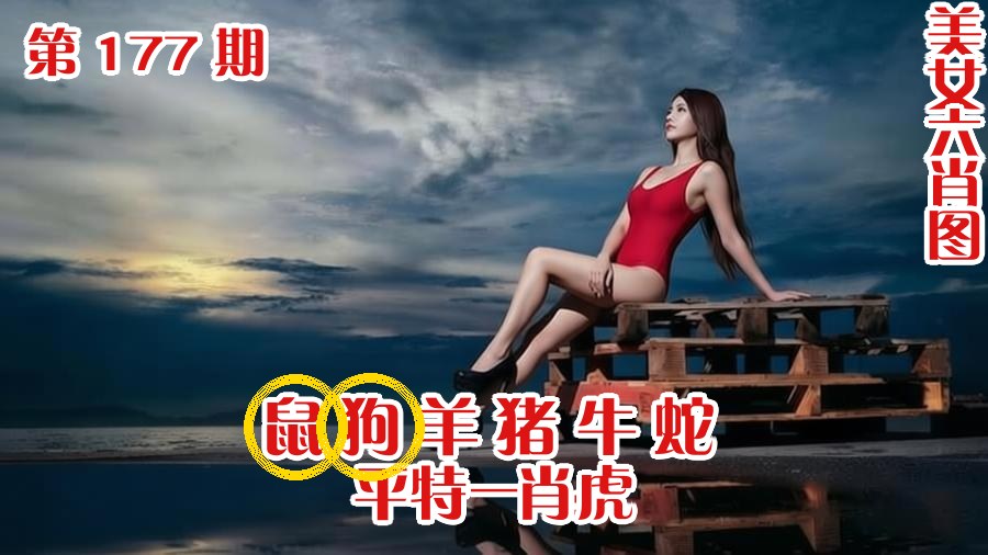 美女六肖 177期