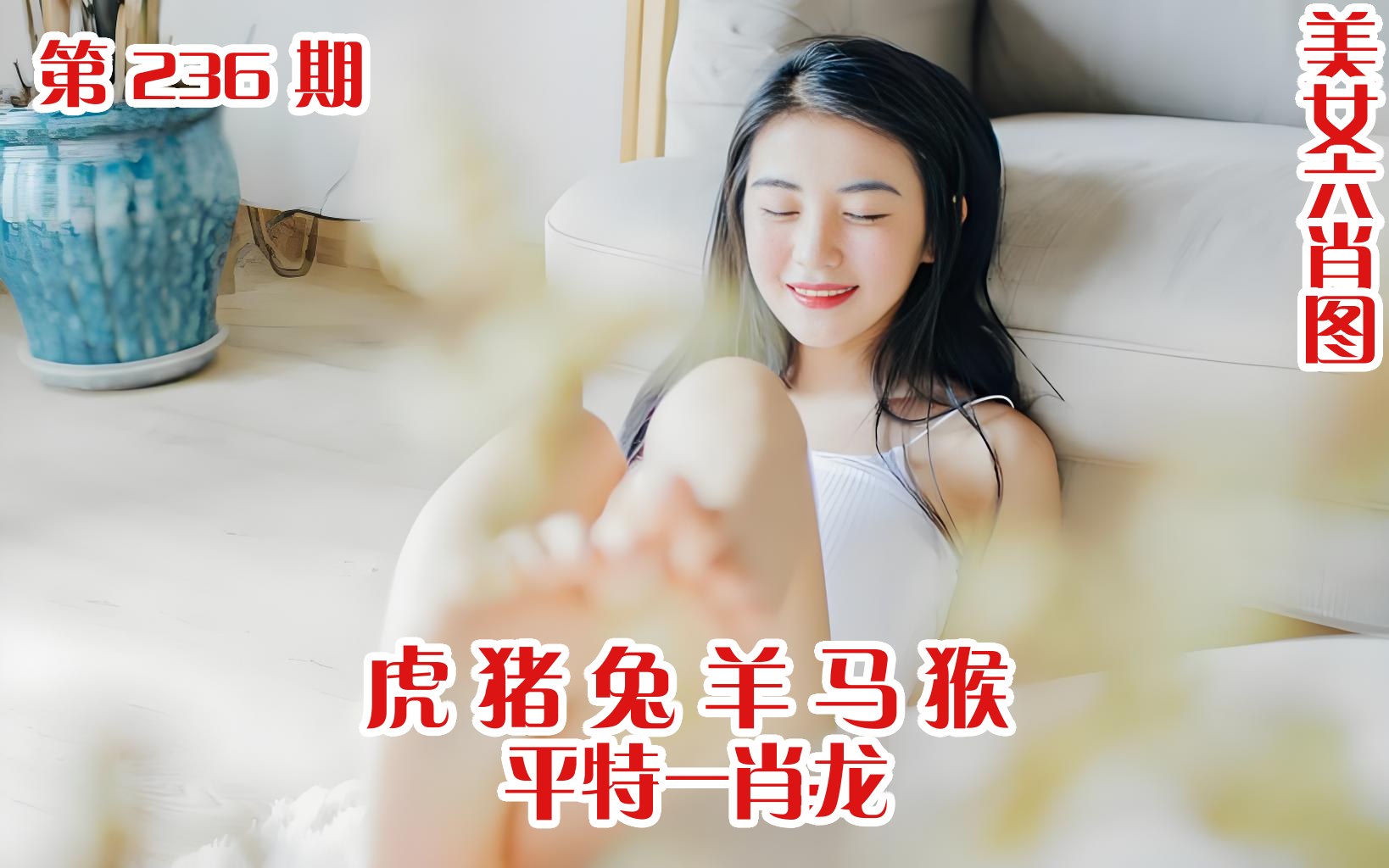 美女六肖 236期
