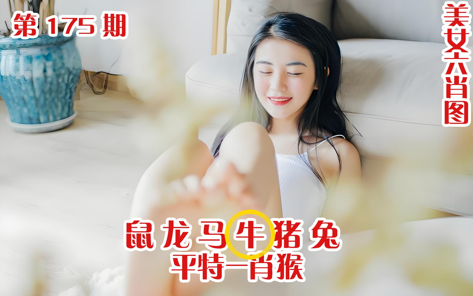 美女六肖 175期