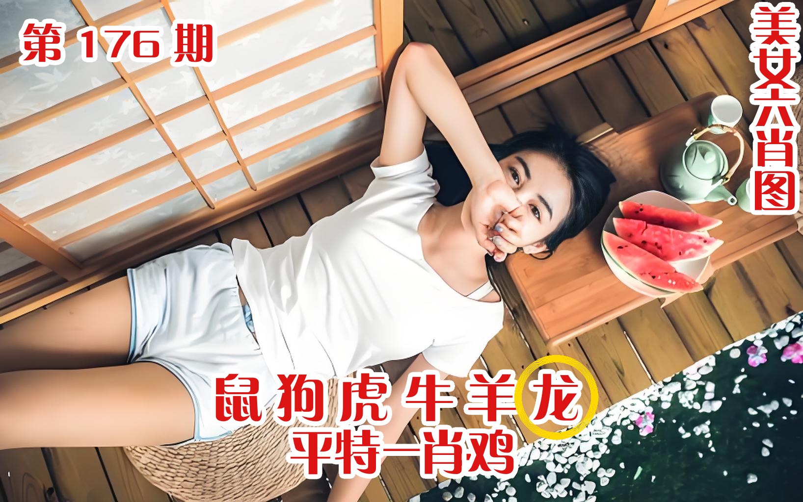 美女六肖 176期