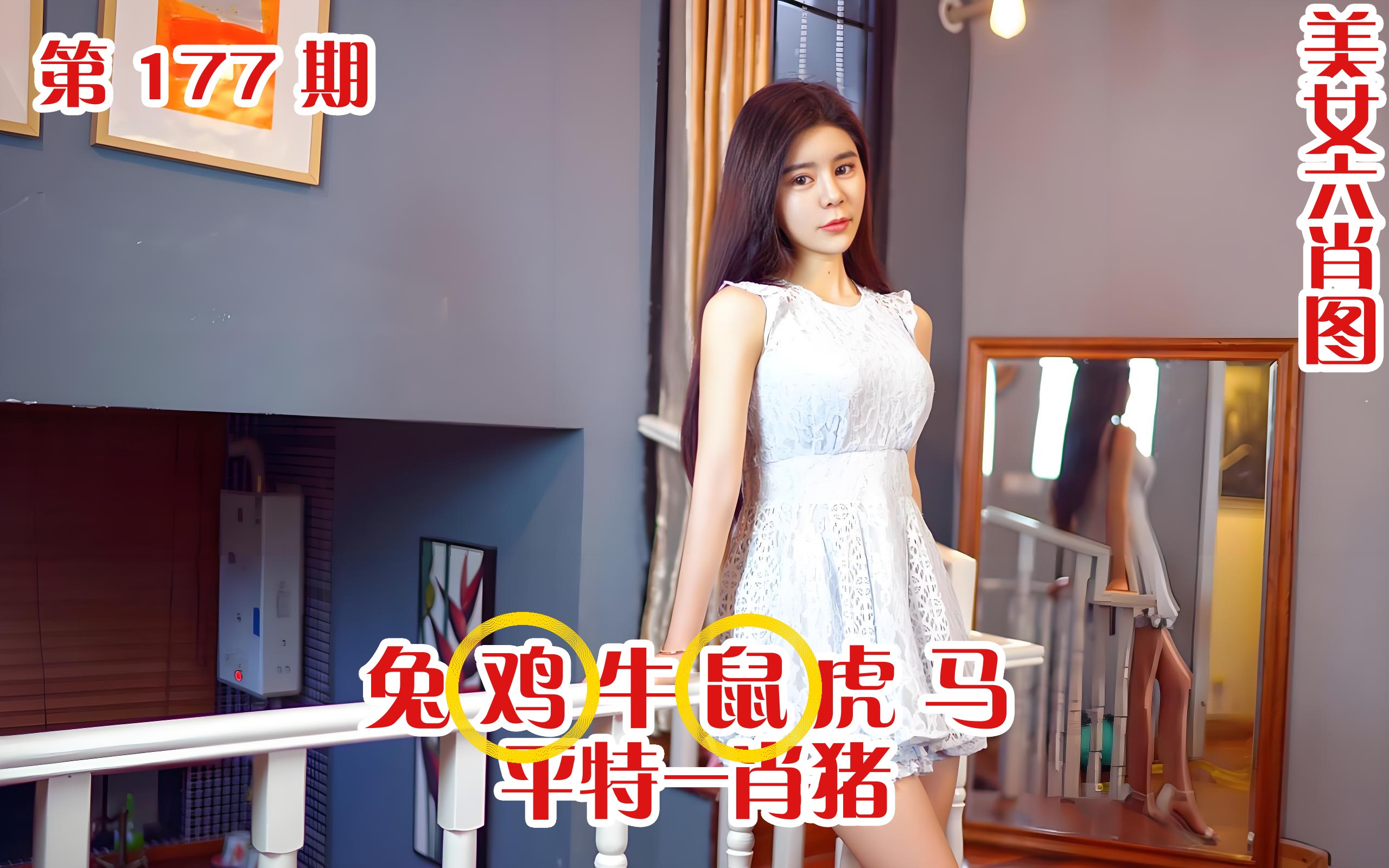 美女六肖 177期