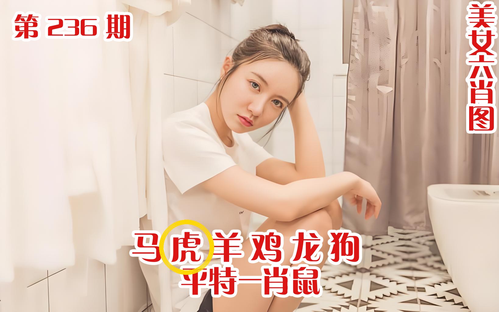 美女六肖 236期